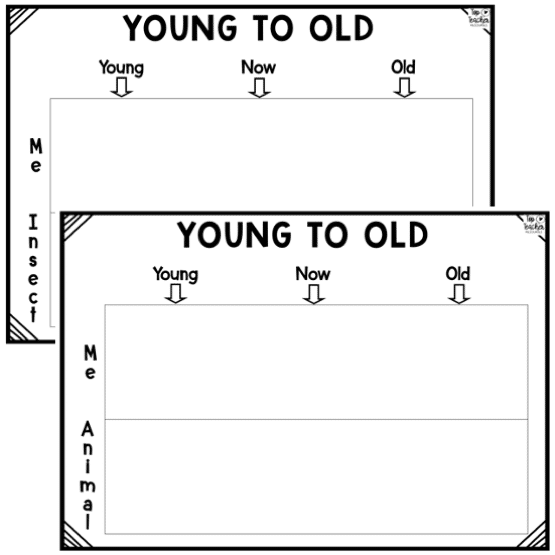 Young to Old Worksheets - Top Teacher