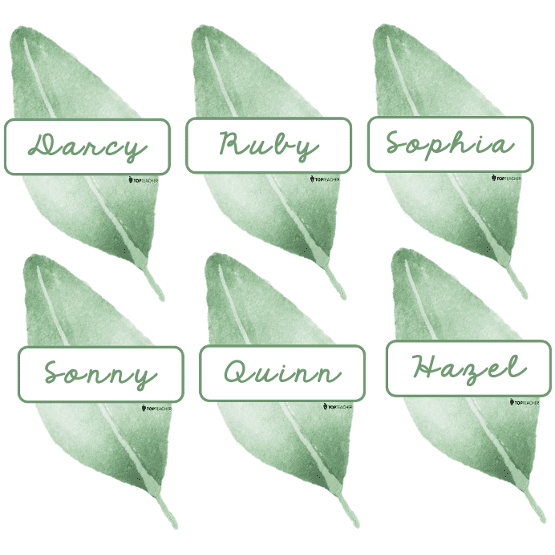 Labels 8 Per Page Eucalyptus - Top Teacher