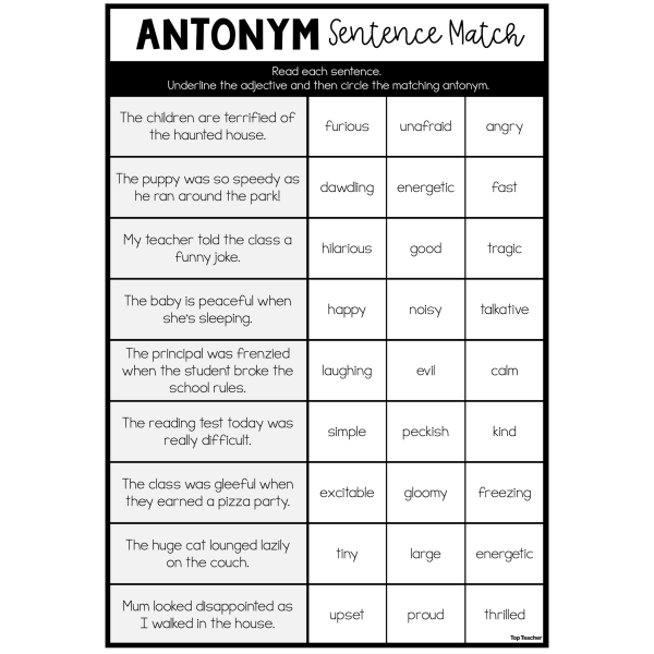 Smart Synonyms & Amazing Antonyms - Top Teacher
