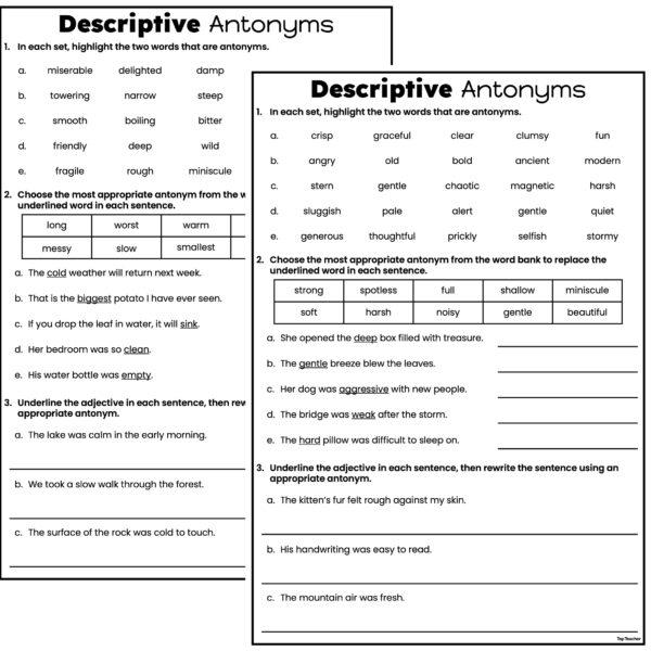 Descriptive Antonyms Worksheets - Top Teacher