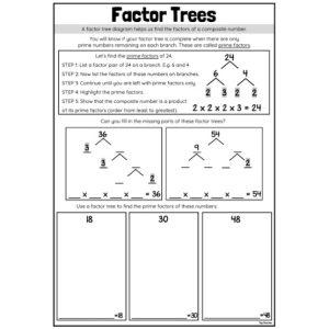 Factors - Top Teacher