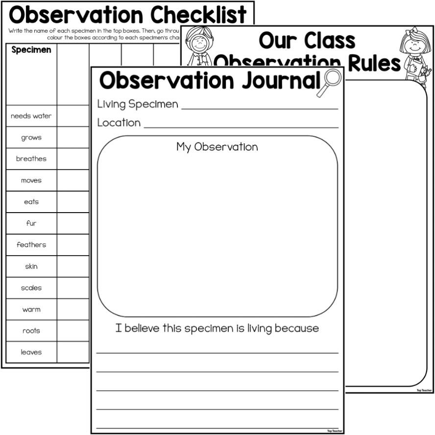 Scientific Observation Template Worksheet For Grade 6 Science