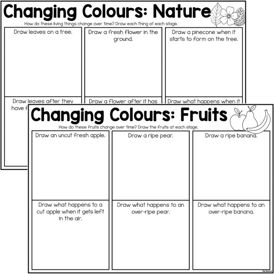 How Objects Can Change Colour Worksheets - Top Teacher