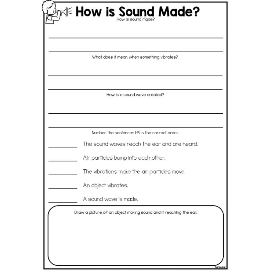 How Is Sound Made? Worksheet - Top Teacher